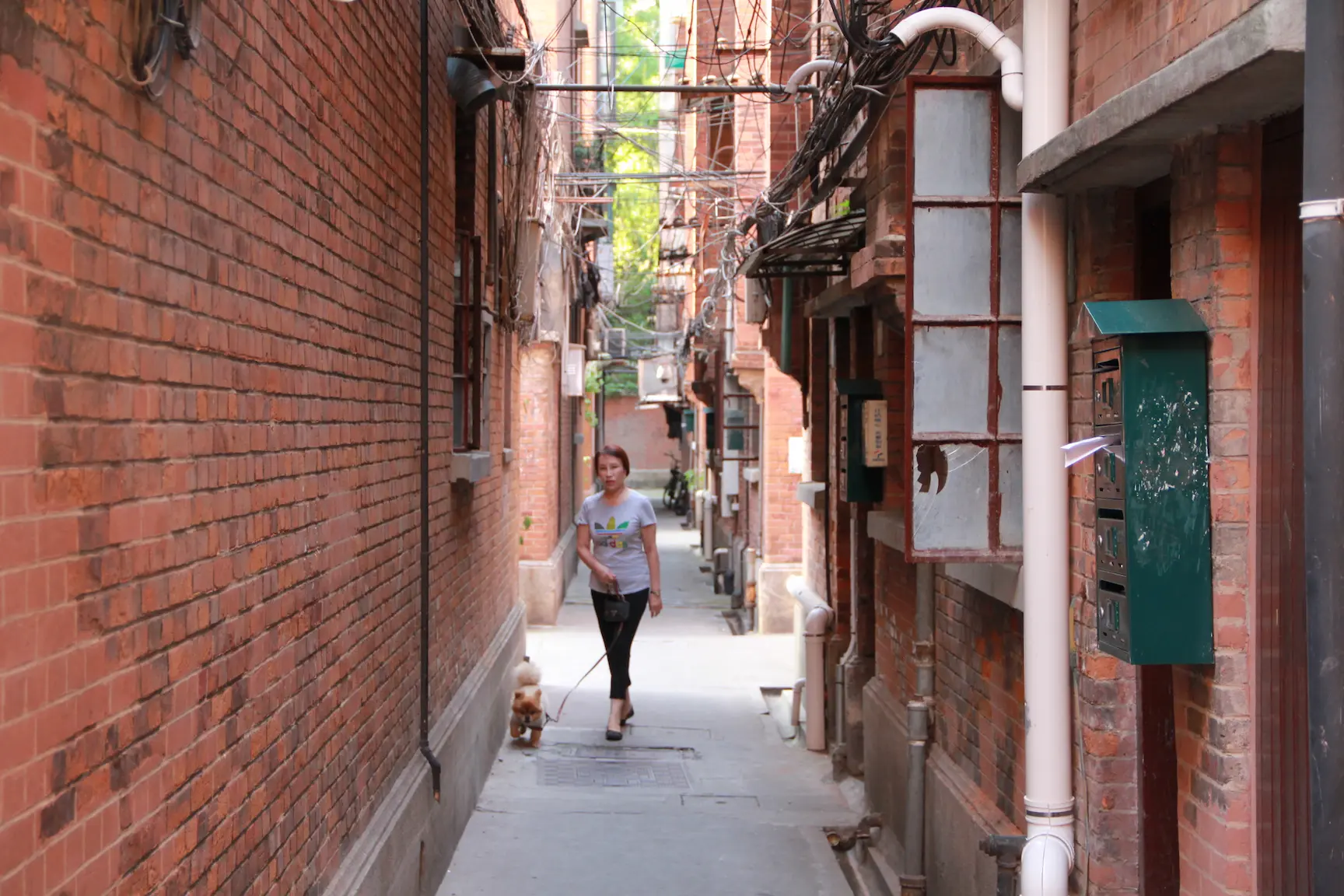 Shanghai: Tra Modernità e Memoria Storica